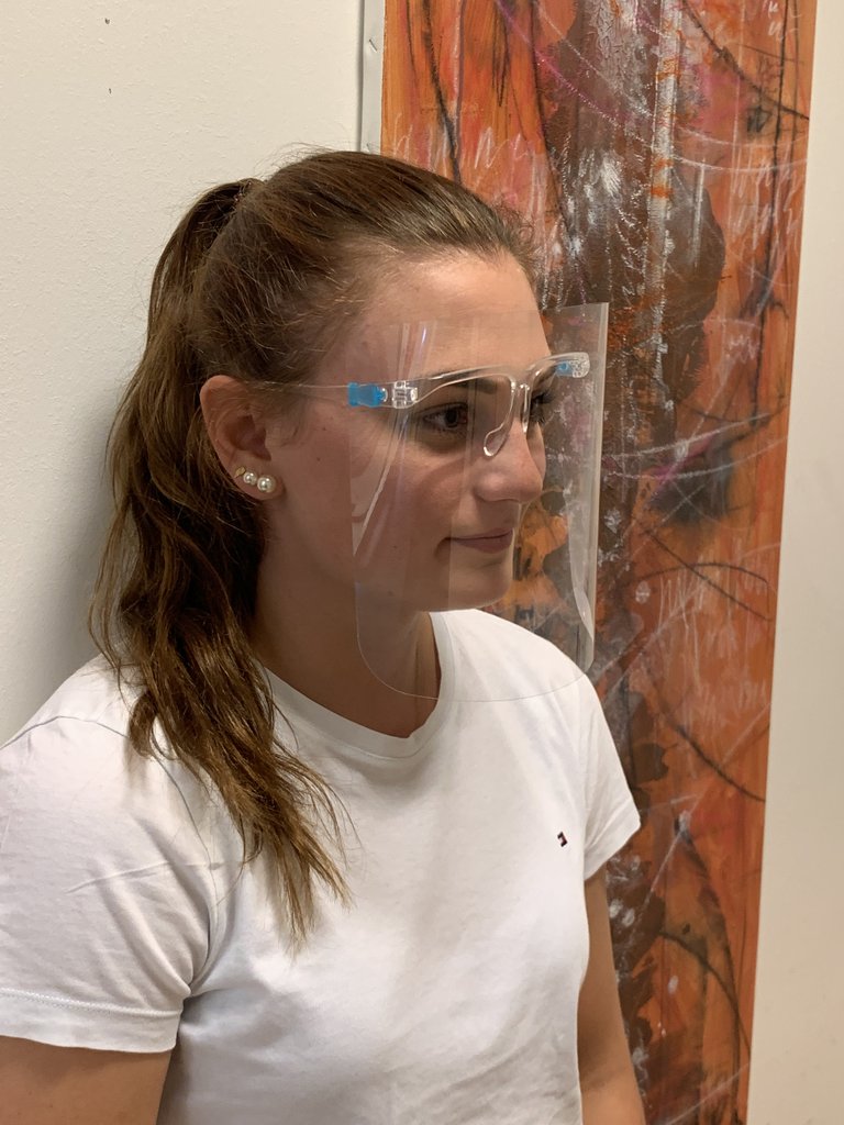 Visière de protection + support lunette